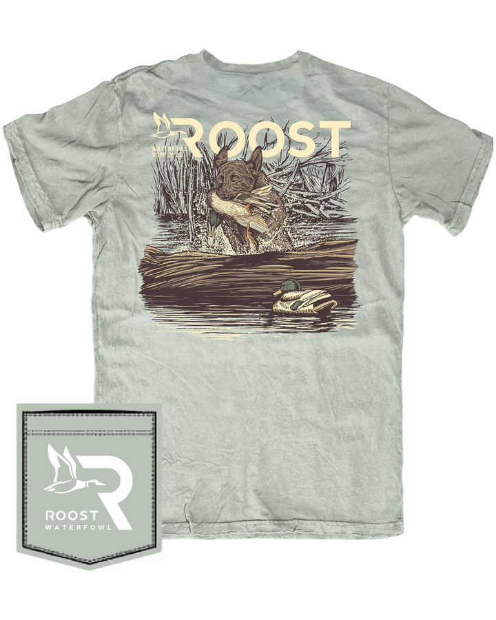 Roost Swamp Puppy Boys Tee in Bay, That Stpre