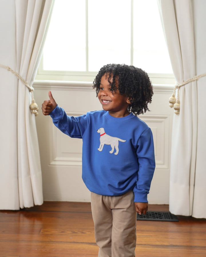 Child wearing a blue sweatshirt with a dog design, giving a thumbs-up indoors.