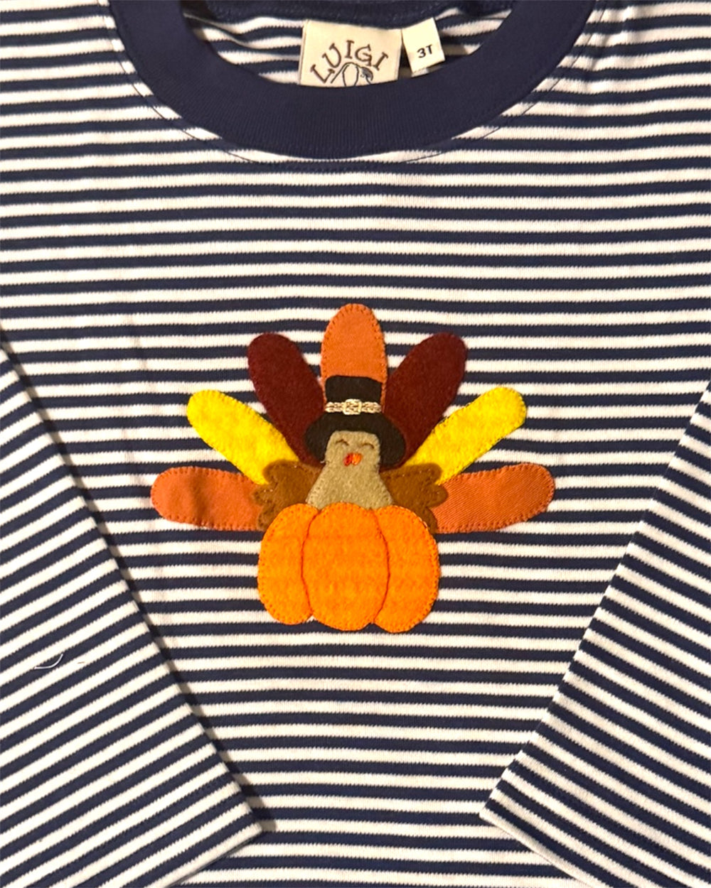 Striped shirt with a turkey and pumpkin applique on a blue and white background