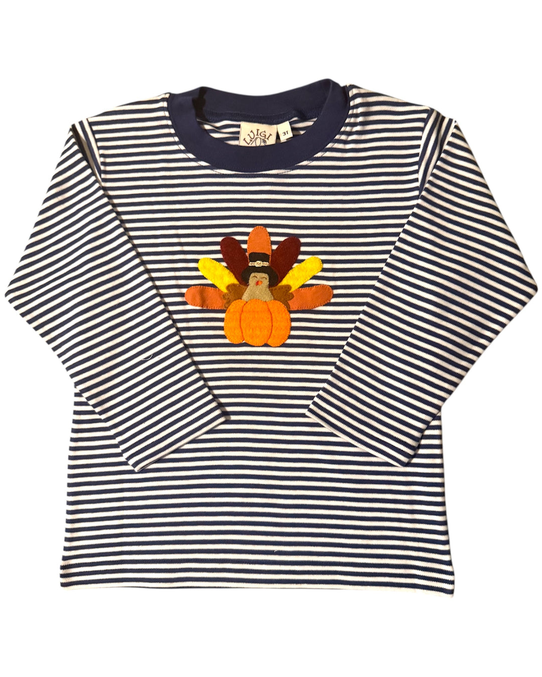 Striped shirt with a turkey and pumpkin design on a white background