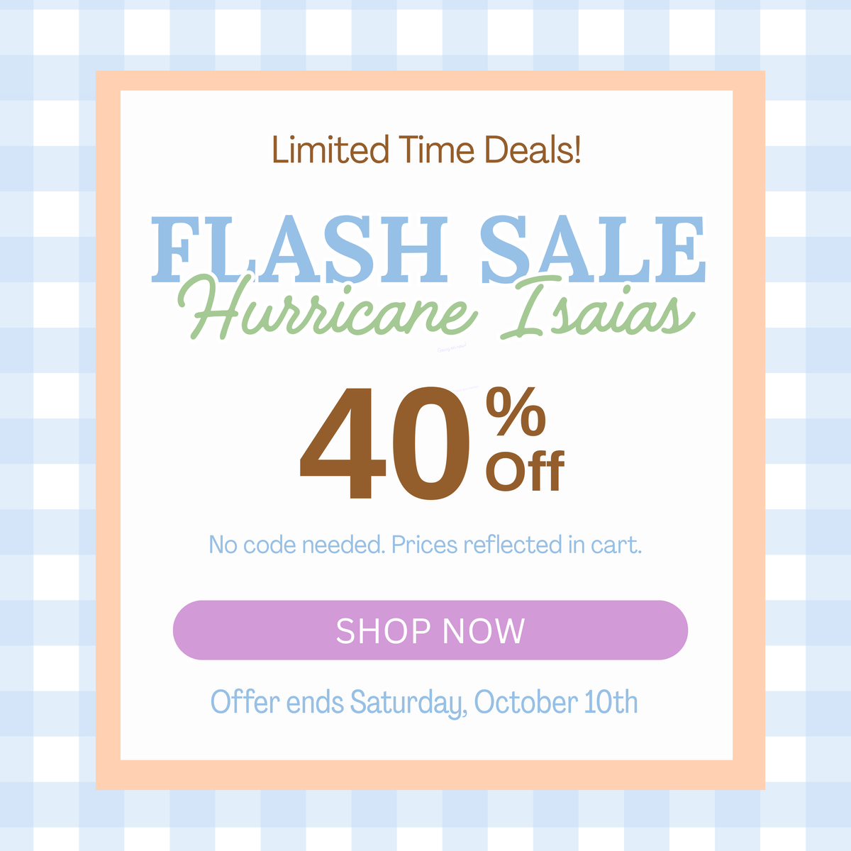 A promotional sale graphic with a white central panel bordered in peach, reading 'Limited Time Deals! FLASH SALE Hurricane Isaias 40% Off' with a purple 'SHOP NOW' button, on a light blue and white gingham background at That Store
