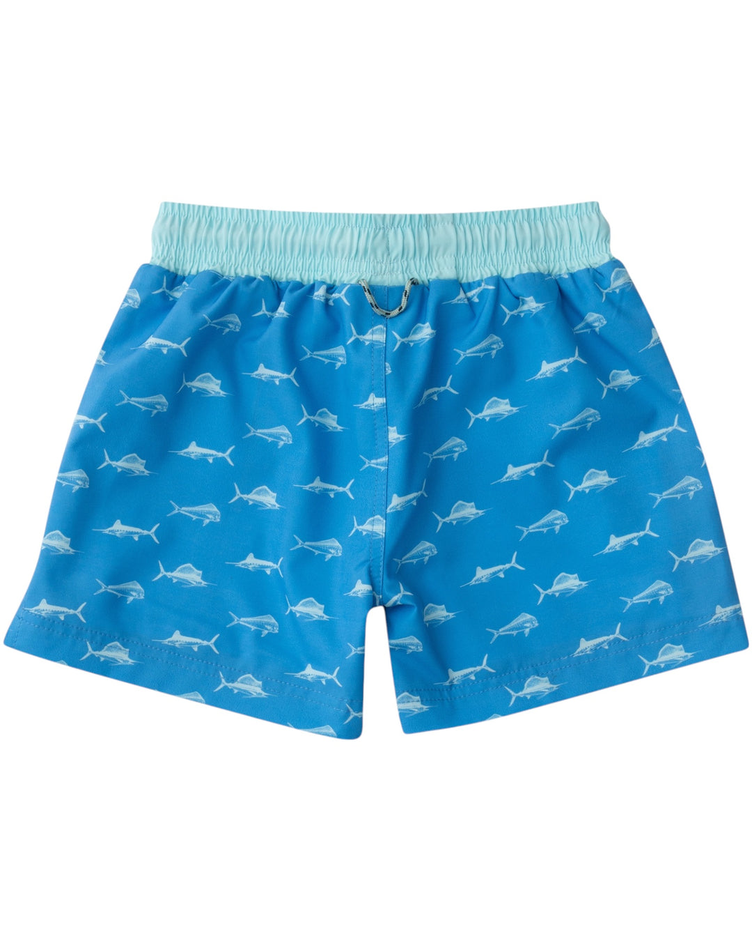 Boy's Boogie Board Swim Trunk: Marina Fish Print, That Store, back