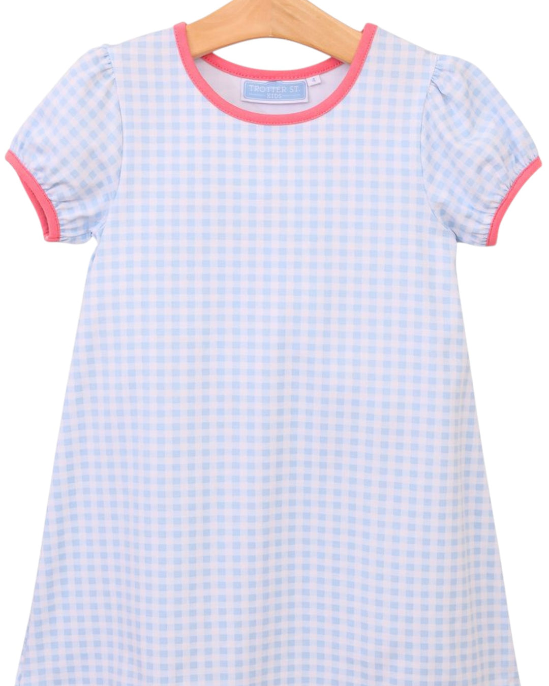 Cecilia Dress- Light Blue Gingham/Pink, Shop That Store, close up