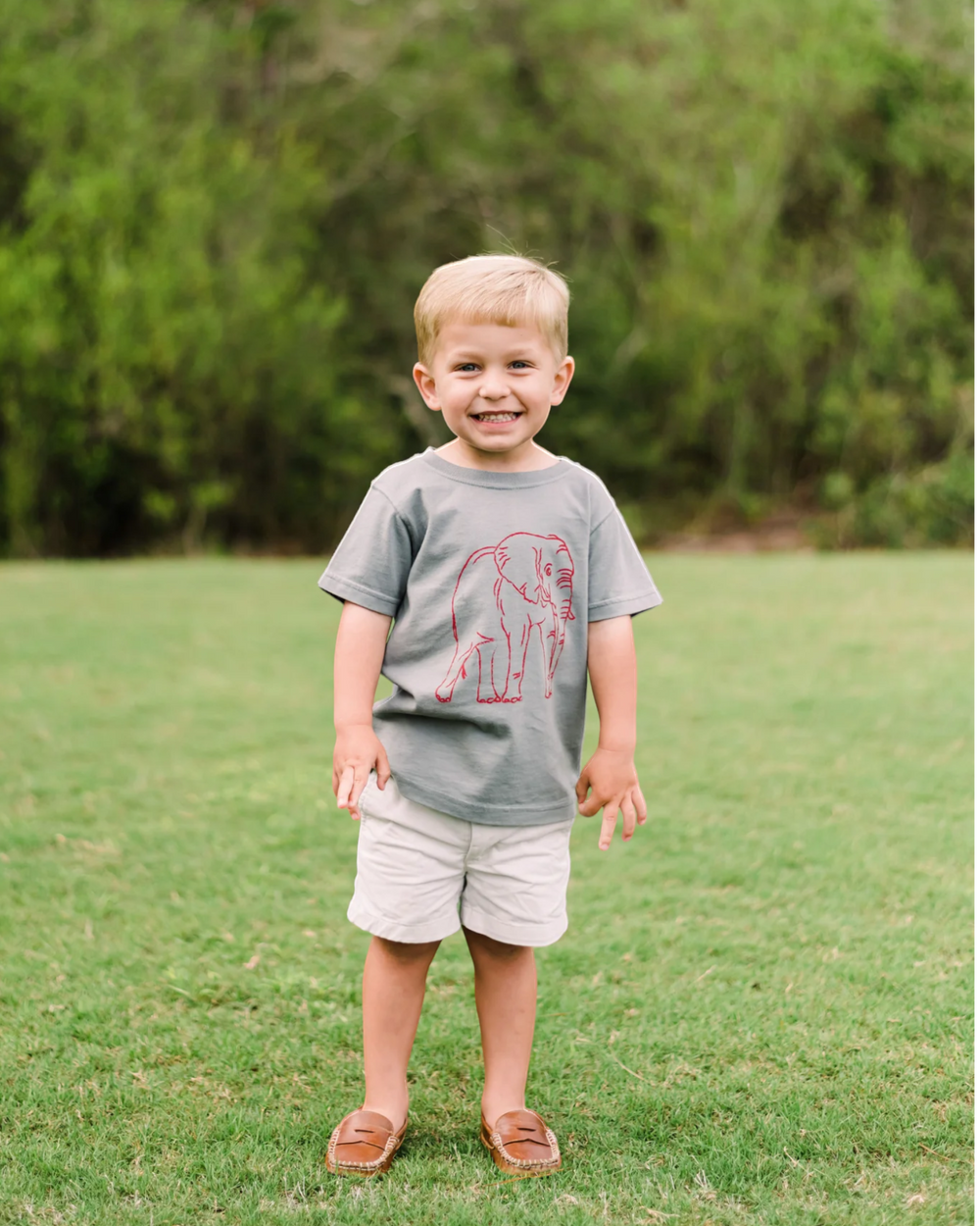 Elephant Short Sleeve Tee - Gray & Crimson, child