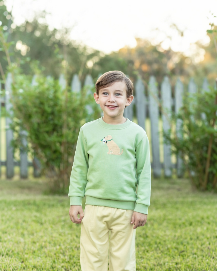 A young boy smiling outdoors on a grassy lawn, wearing a light green crewneck sweatshirt with a small kangaroo graphic on the chest and pale yellow pants, that store