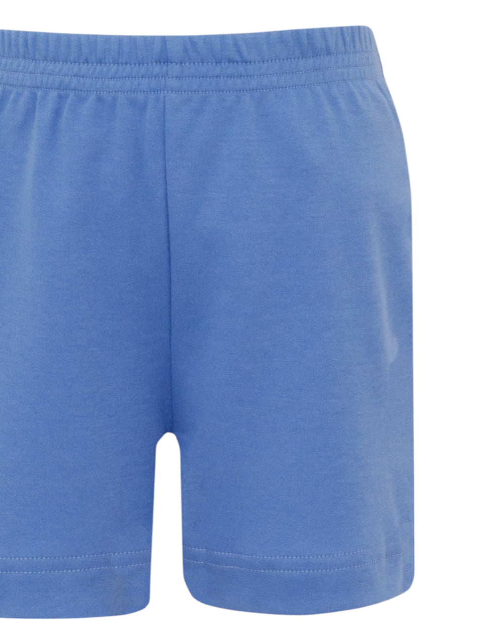 Labs Periwinkle Boys Shorts, That Store, close up