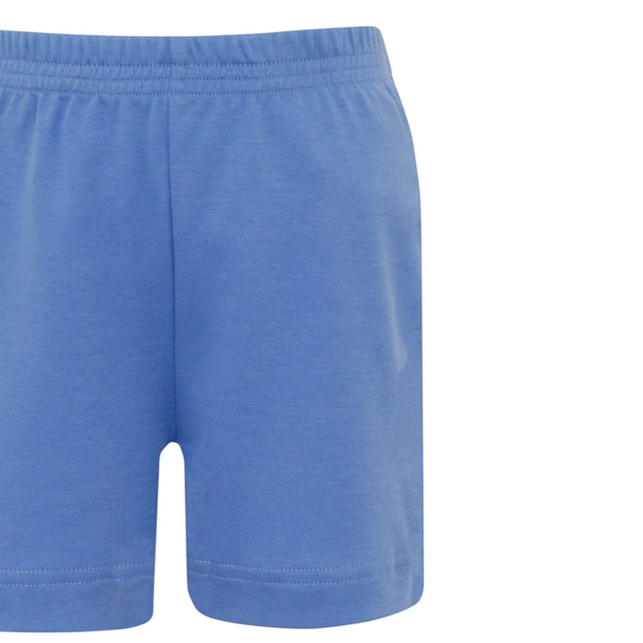 Labs Periwinkle Boys Shorts, That Store, close up