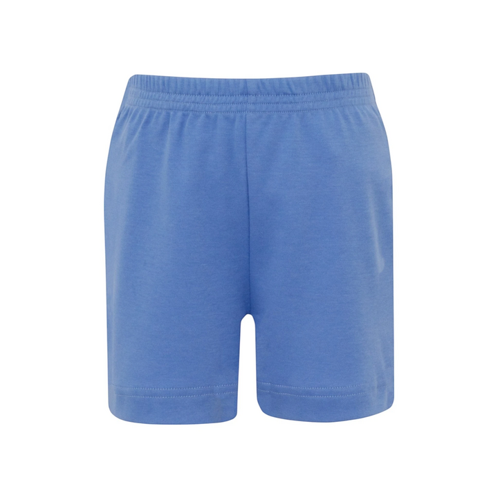 Labs Periwinkle Boys Shorts, That Store, front
