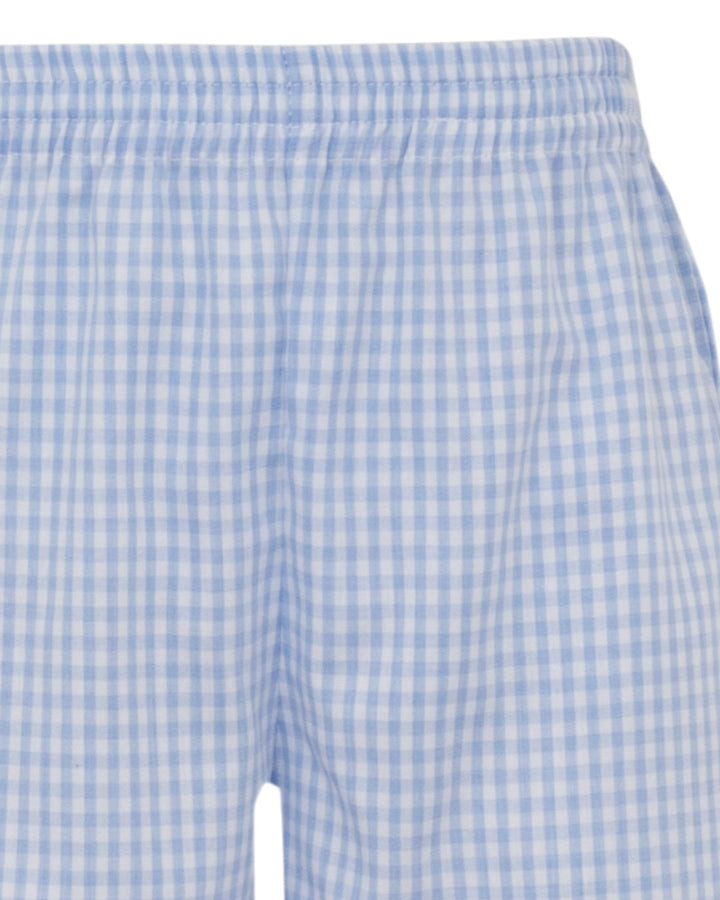 Blue and white checkered shorts on a white background