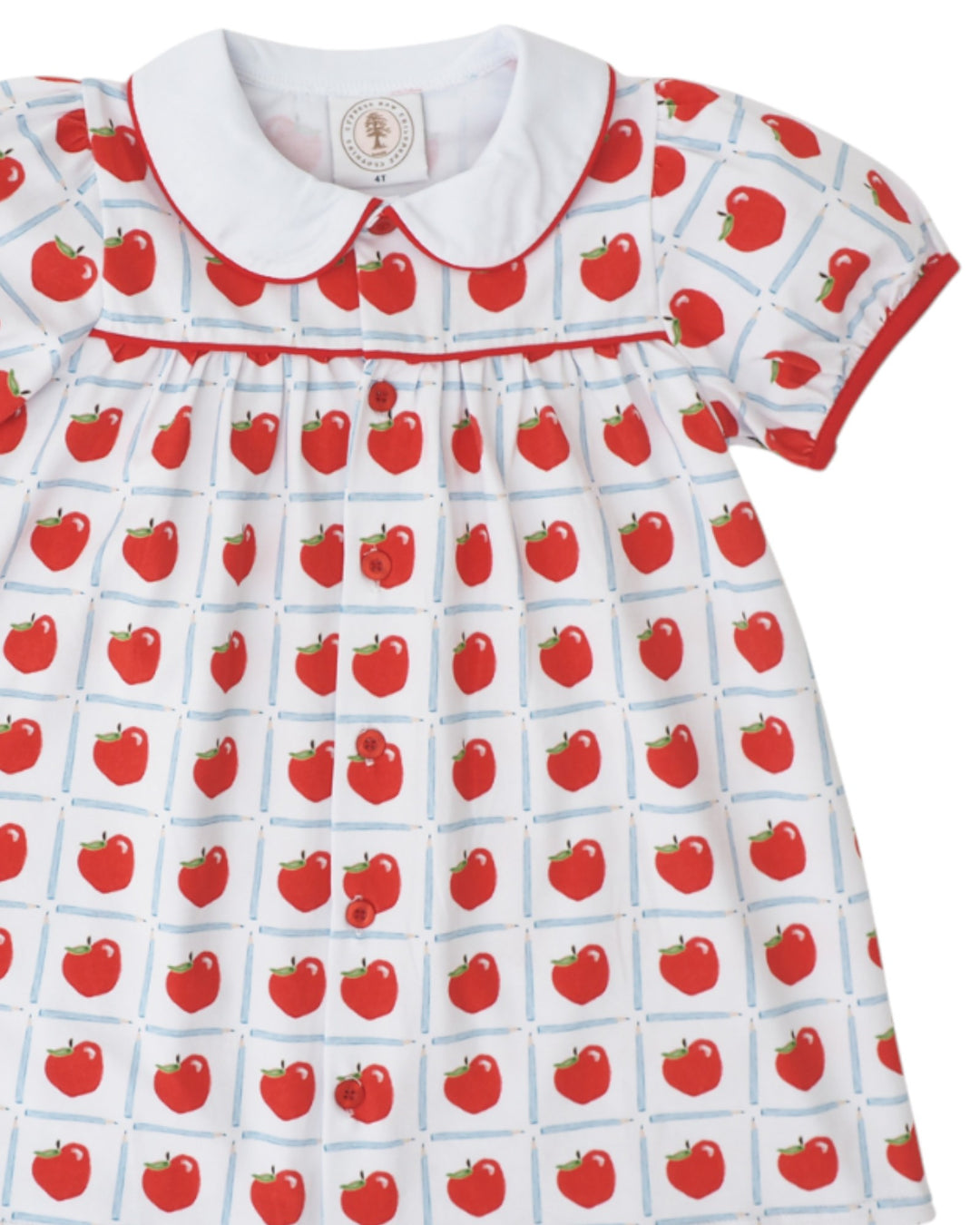 Teachers Pet Plaid Paisley Proper Dress *Pre-Order