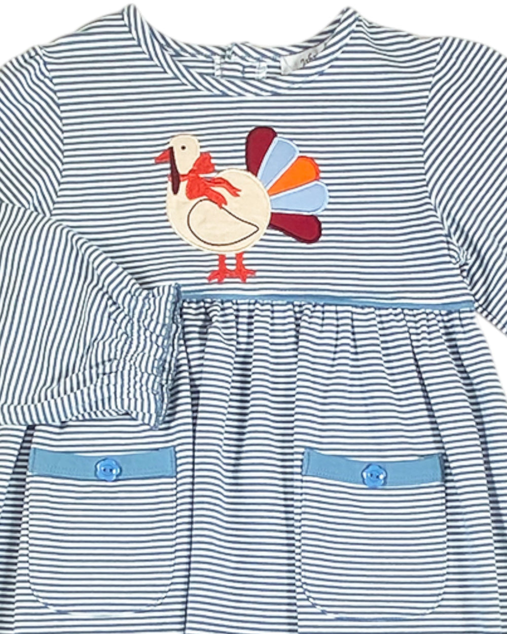 Striped dress with a turkey applique on a white background