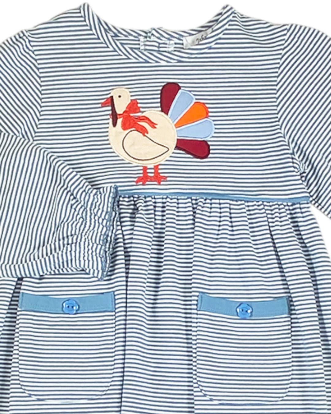 Striped dress with a turkey applique on a white background