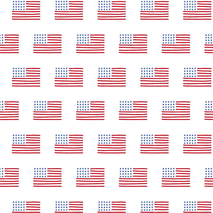 Walker Boys' Short Set - American Flag, Shop That Sore, fabric