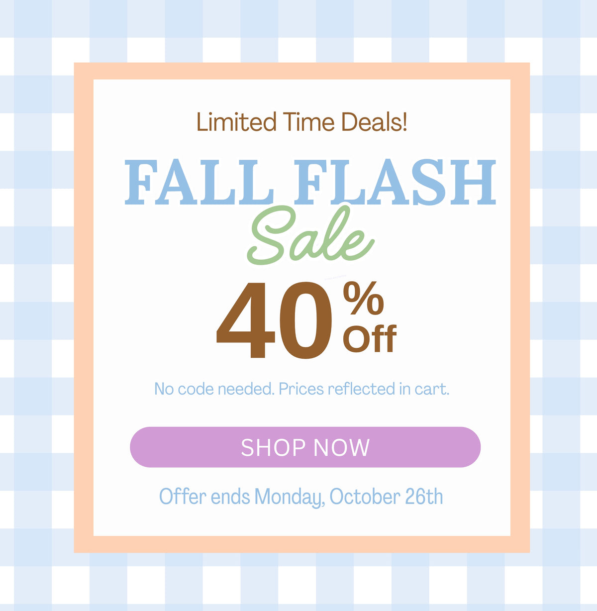 A promotional sale graphic with a white central panel, peach border, and pale blue gingham background. Text reads 'Limited Time Deals!', 'FALL FLASH Sale 40% Off', 'No code needed. That Store