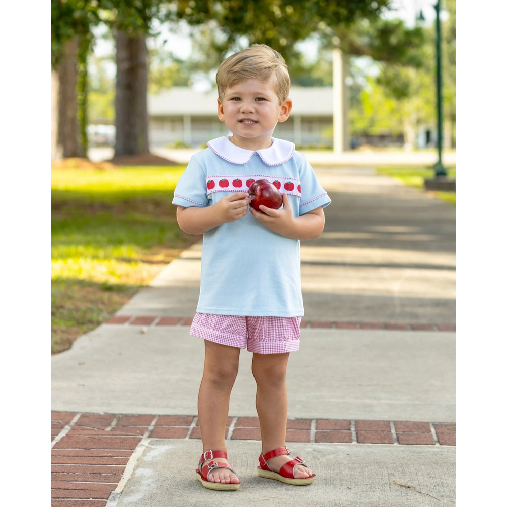 That Store boys short set featuring a light blue shirt with apple ribbon banding and pink gingham shorts
