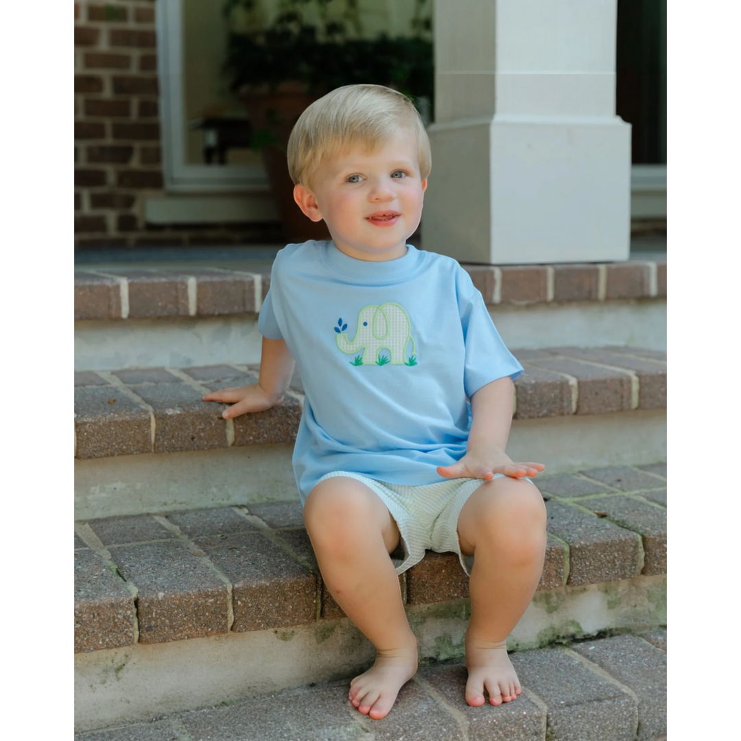 That Store Ele-Fun Times boys blue cotton t-shirt with green elephant appliqué and matching gingham shorts