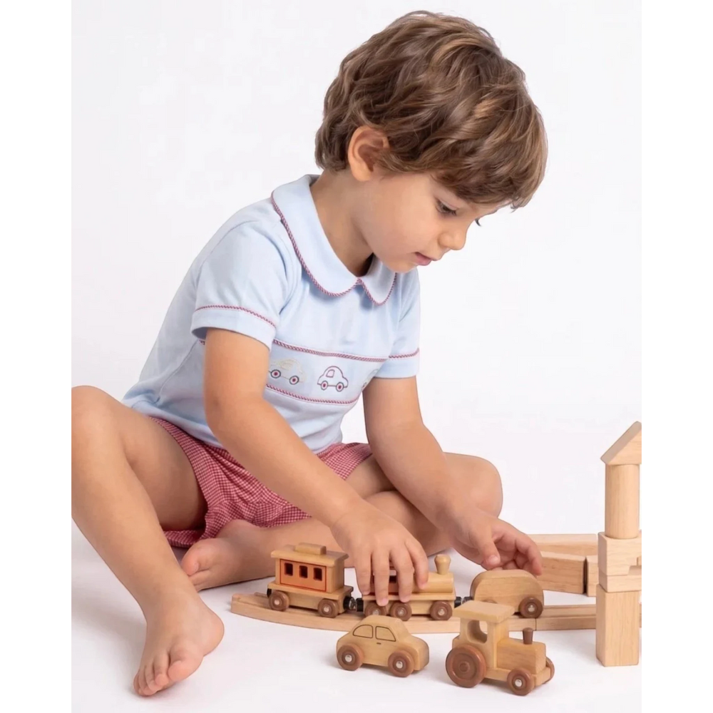That Store Carson boys short set in Bluffton Blue with car embroidery and red gingham shorts, worn by a young boy.
