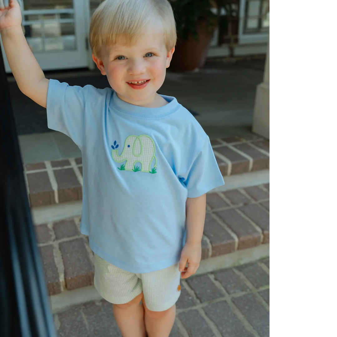 That Store Ele-Fun Times blue cotton t-shirt with elephant appliqué and light green shorts on a smiling young boy