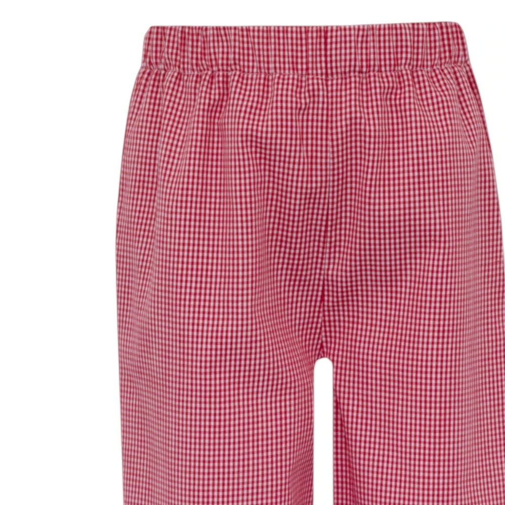 That Store boys pants in red and white gingham check with a comfortable elastic waistband for a classic fall look.
