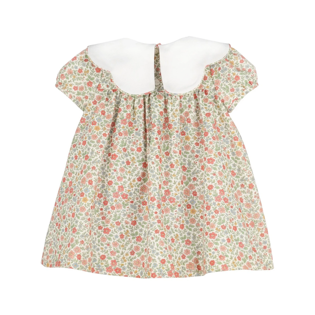 That Store vintage orange floral dress with a white scalloped collar and short sleeves, back view.
