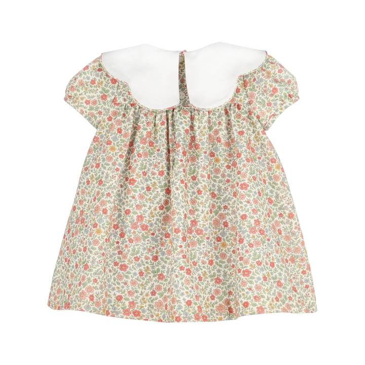 That Store vintage orange floral dress with a white scalloped collar and short sleeves, back view.